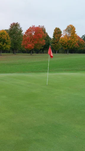 Red pin flag on a manicured putting green at Hampshire Country Club
