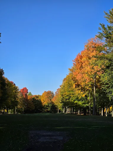 Autumn trees lining a long open fairway